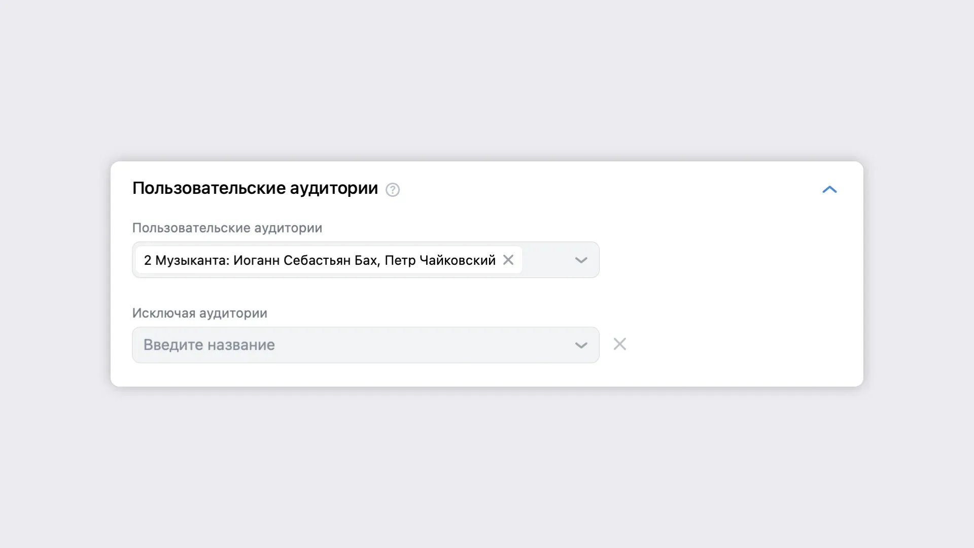Пользовательские аудитории