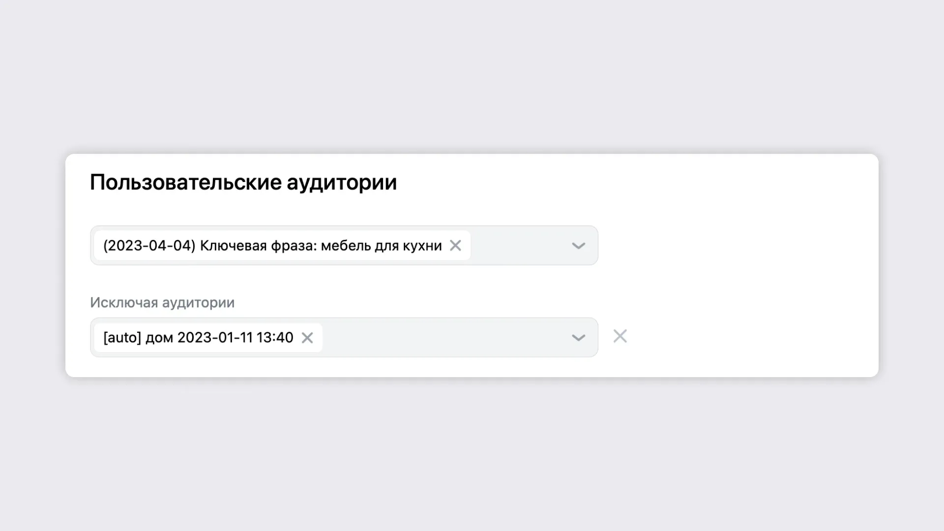 Пользовательские аудитории