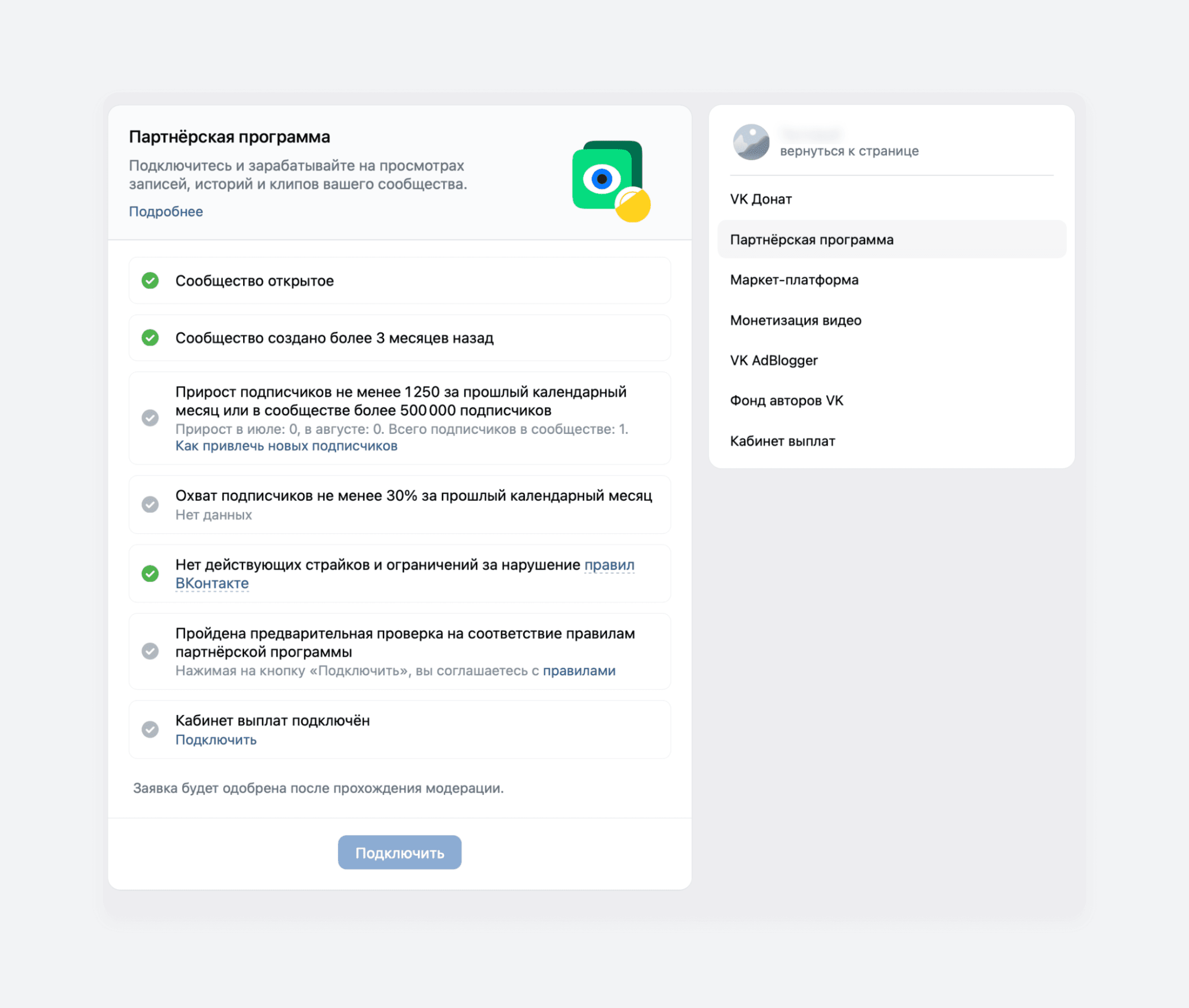 Как выглядит заявка на участие в программе монетизации