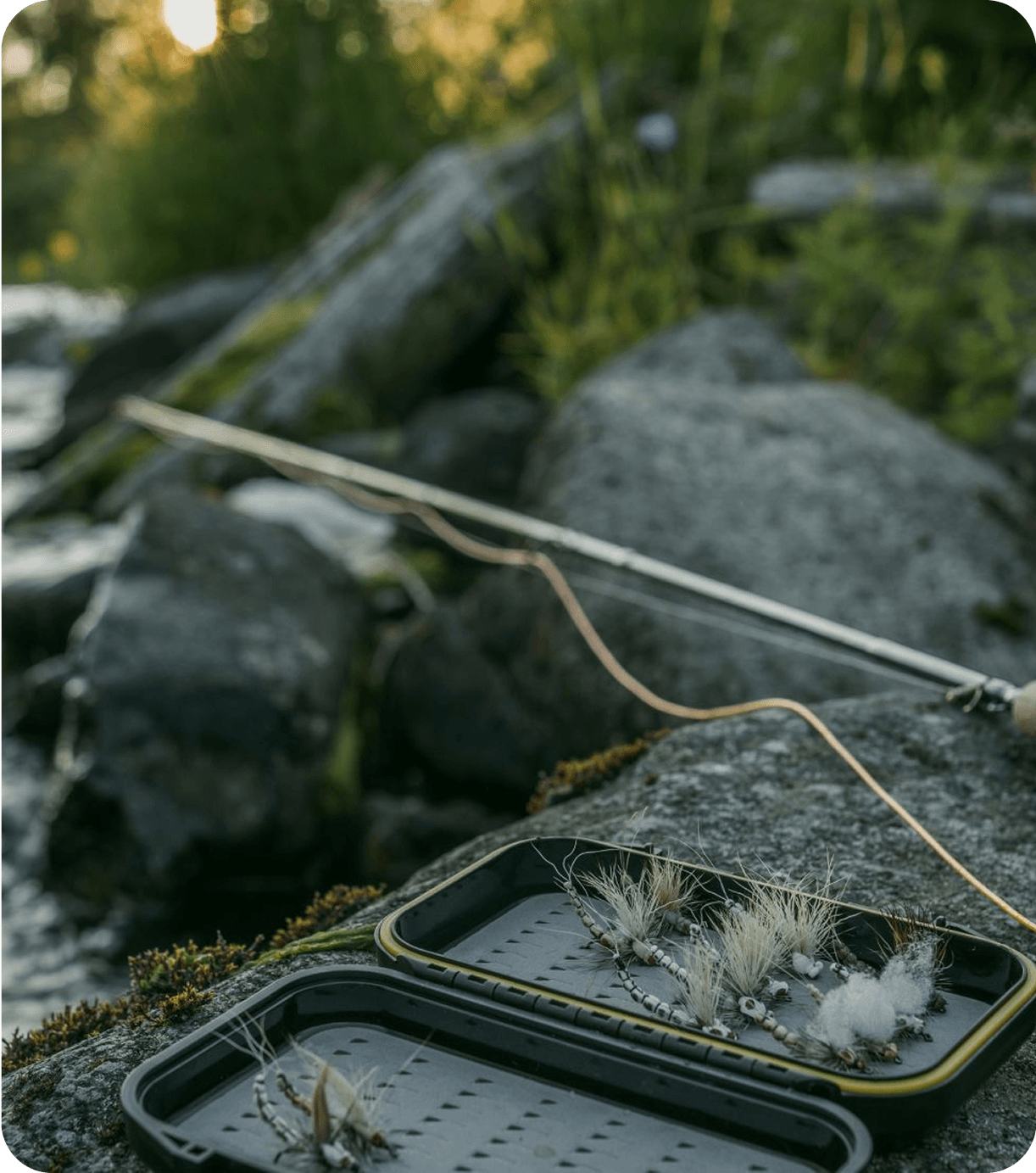 Сообщество рыбака